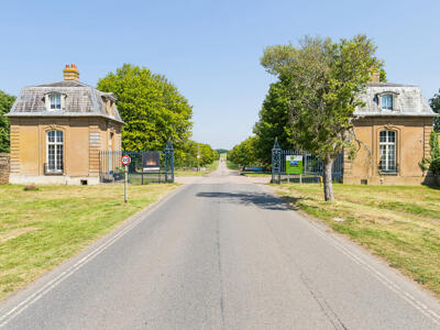 Picture 26